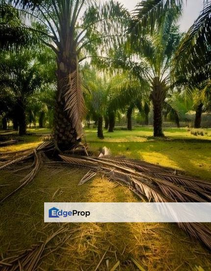 4.5 acres Kampung Jawa Shah Alam Industrial Zoning Land Seksyen 36, Selangor, Shah Alam