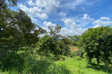 Jalan Bukit Cherakah