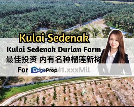 Sedenak, Kulai, Johor, Kulai Sedenak Durian Farm, Near Sedenak Toll & Sedenak Data Centre, Johor, Kulai