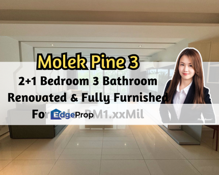 Molek Pine 3, Johor Bahru, Johor, Fully Furnished, Modern Design, Gated Guarded, 2 Plus 1 Bedroom, Johor, Johor Bahru