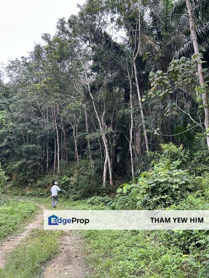 Estate Land in Semenyih for sale , Selangor, Kajang