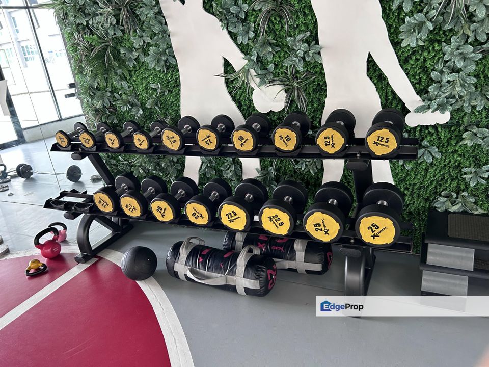 The Zizz Condo for rent , Selangor, Damansara Damai