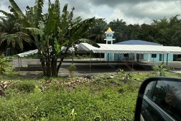 Pekan Nenas Agricluture land