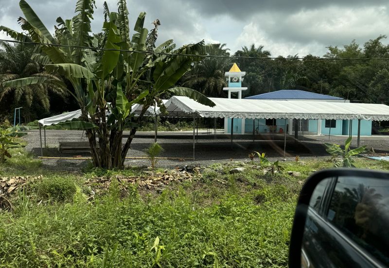 Pekan Nenas Agricluture land