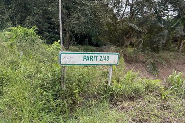 Pekan Nenas Agricluture land