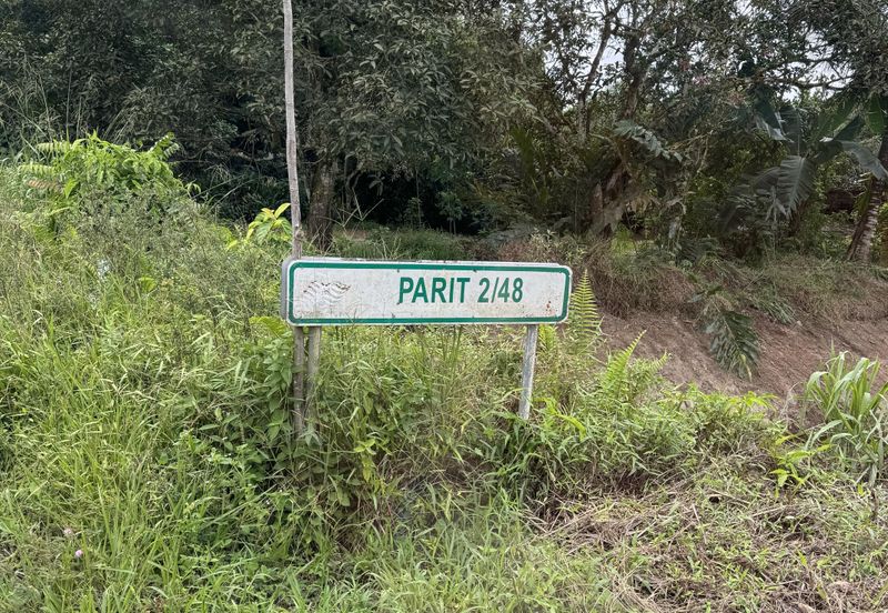 Pekan Nenas Agricluture land