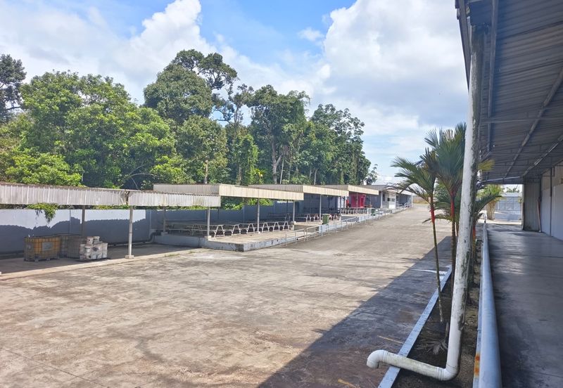 Pekan Nenas factory warehouse 