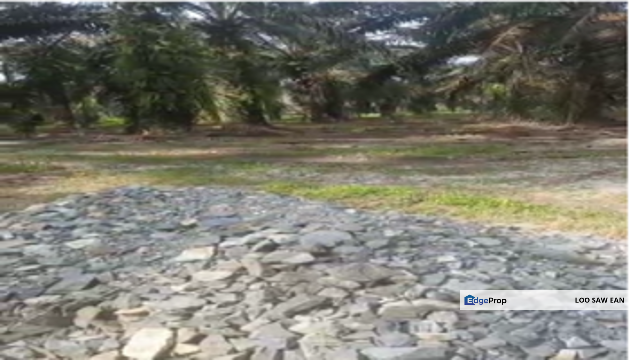 Layang-layang Oil Palm 18 Acres Land For Sale, Johor, Kulai