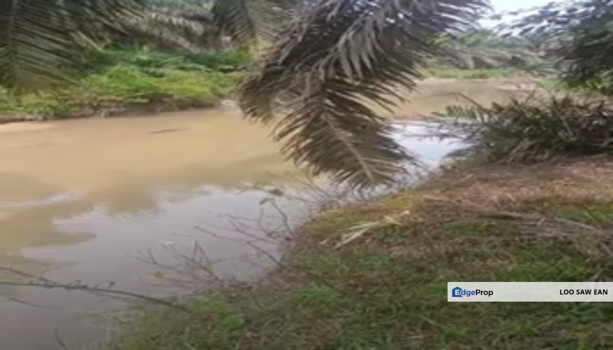 Layang-layang Oil Palm 18 Acres Land For Sale, Johor, Kulai