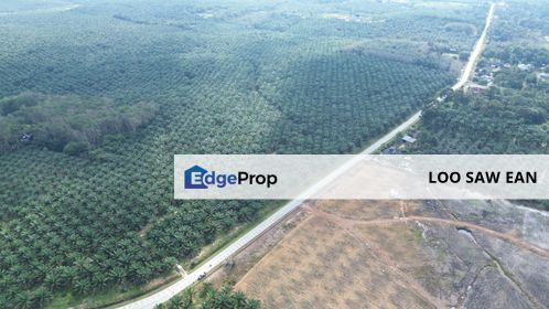 Kota Tinggi Johor Oil Palm Land For Sale, Johor, Ulu Tiram
