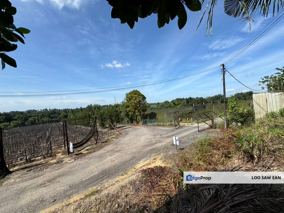 Sungai Tiram Agriculture Land For Sale, Johor, Ulu Tiram
