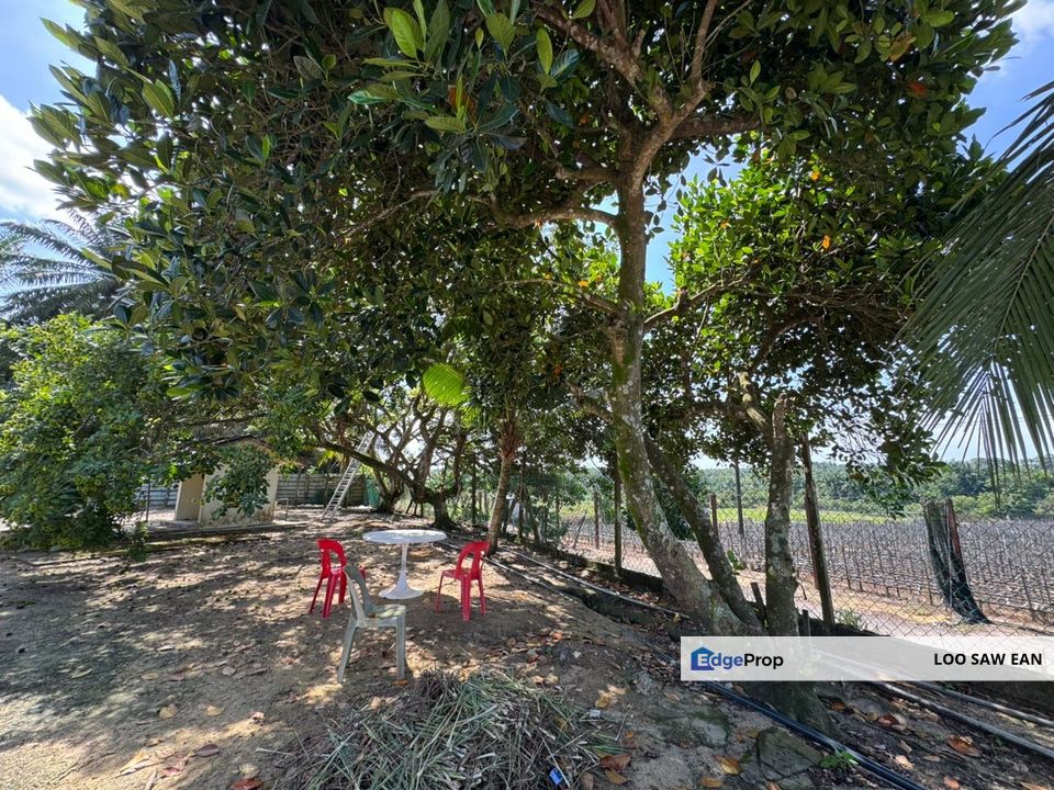 Sungai Tiram Agriculture Land For Sale, Johor, Ulu Tiram