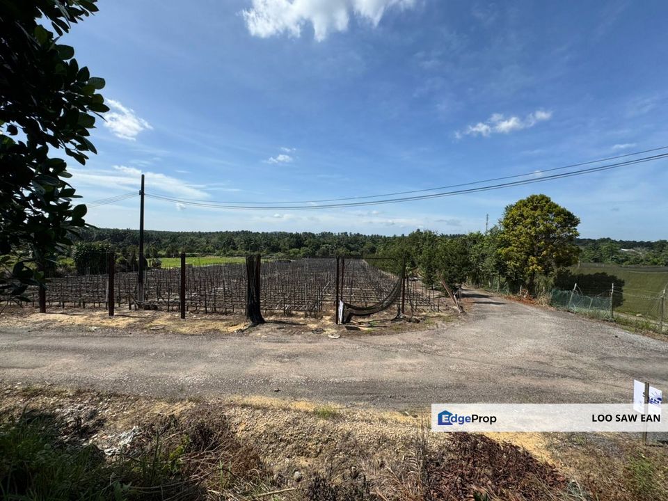 Sungai Tiram Agriculture Land For Sale, Johor, Ulu Tiram