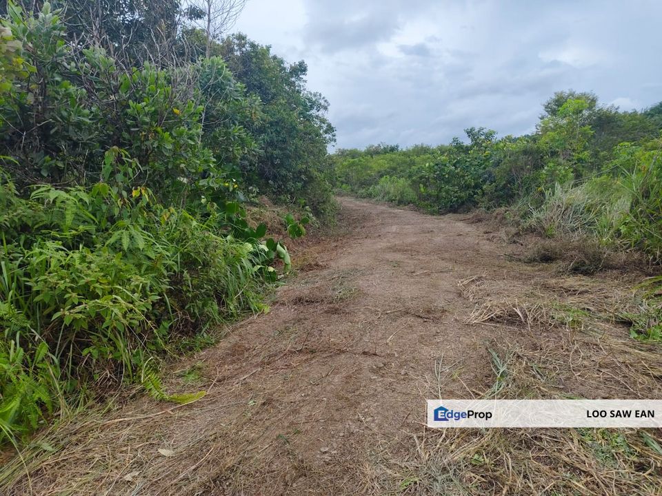 Kulai Indahpura A Agricultural Land For Sale, Johor, Kulai