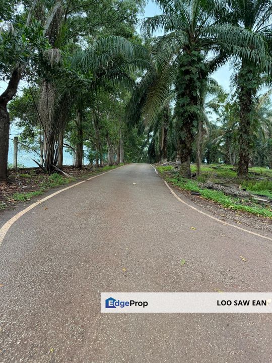 Simpang Renggam Agriculture Land For Sale, Johor, Kluang