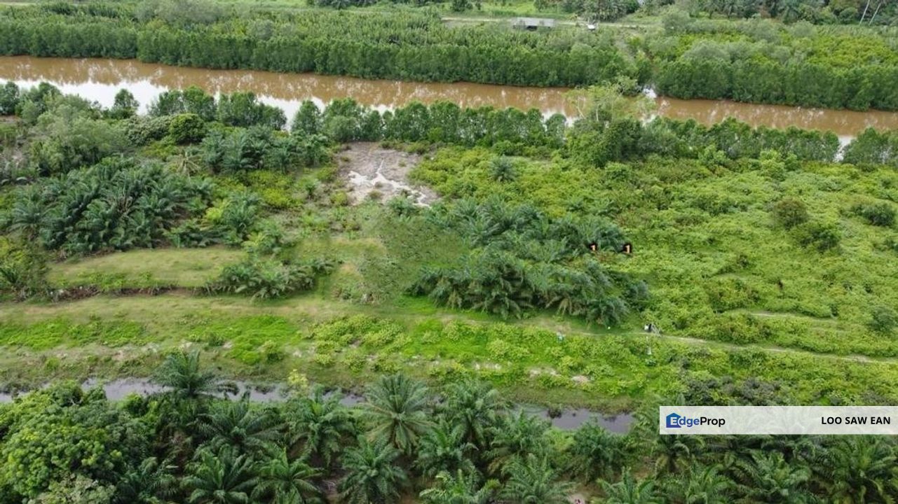 Layang-Layang Johor Oil Palm Land For Sale, Johor, Kulai