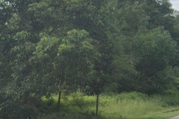 Land for sale along coastal highway near horizon hills