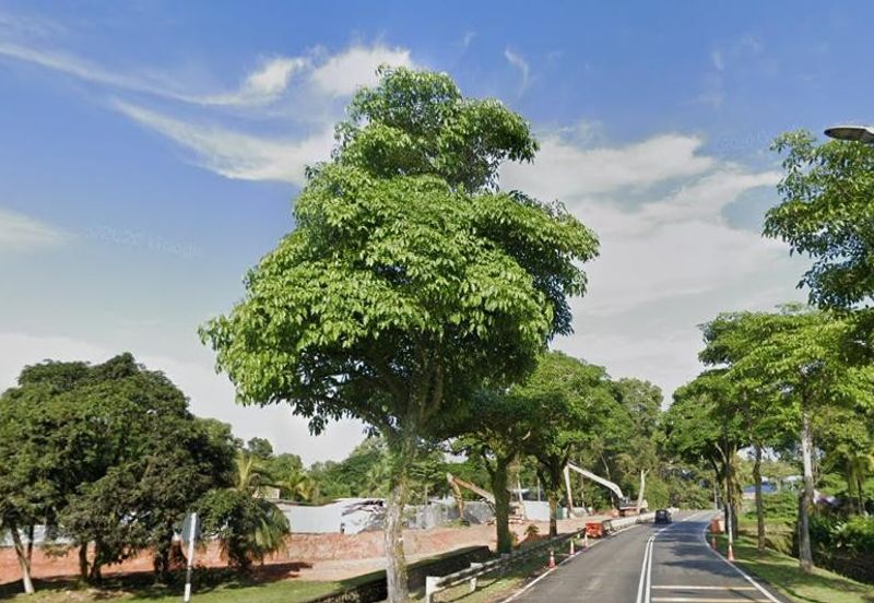 Kota Tinggi Commercial Development Land for Sale