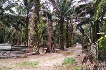 Batu 24, Kulai Agriculture Land for Sale