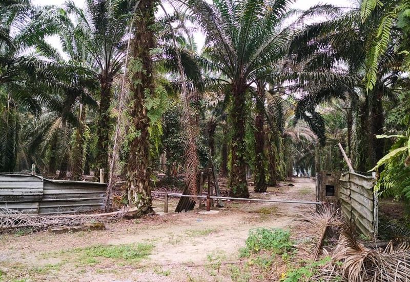 Batu 24, Kulai Agriculture Land for Sale