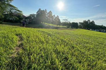 Batu 24, Kulai Agriculture Land for Sale