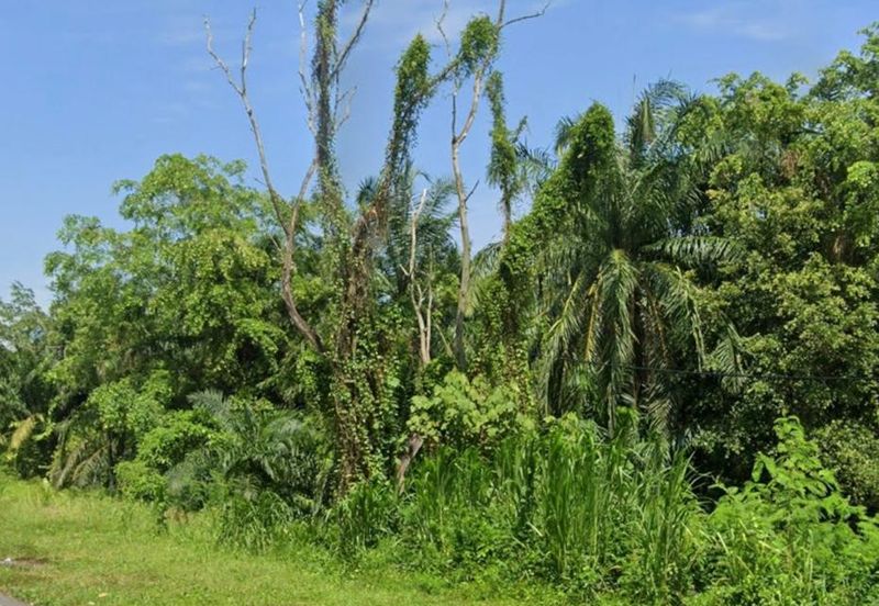 Kluang Residential Zoning Land For Sale