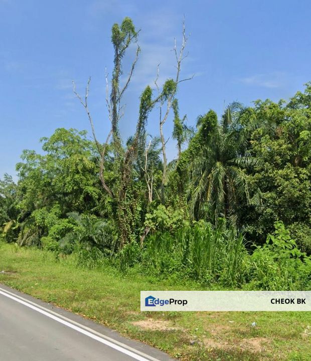Kluang Residential Zoning Land For Sale, Johor, Batu Pahat