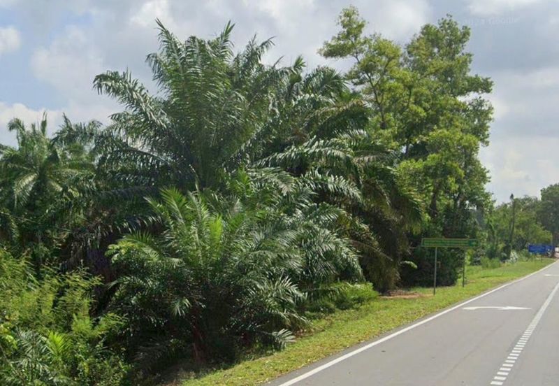 Kluang Residential Zoning Land For Sale