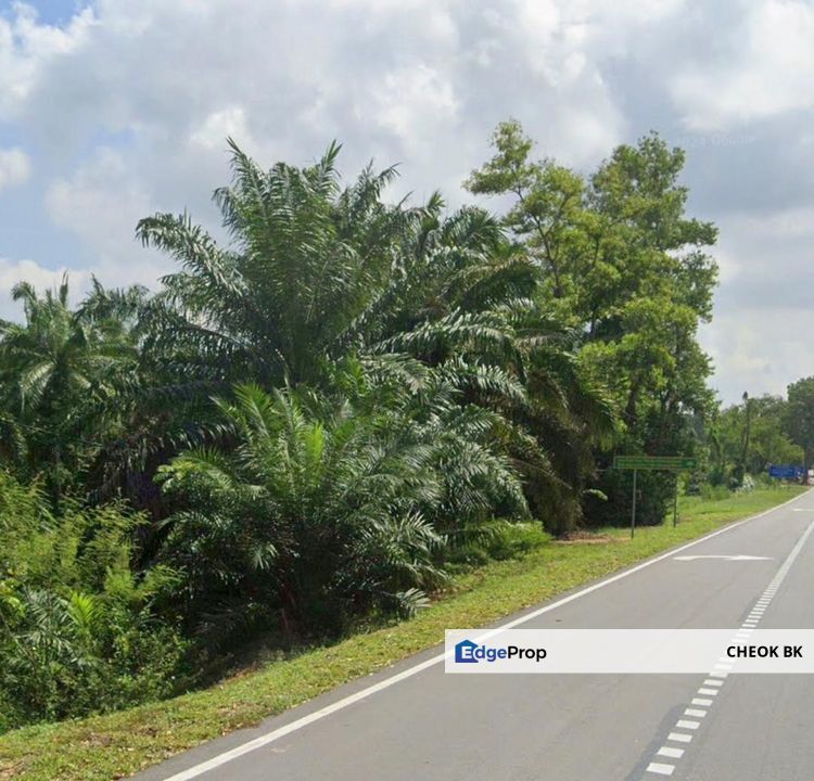 Kluang Residential Zoning Land For Sale, Johor, Batu Pahat