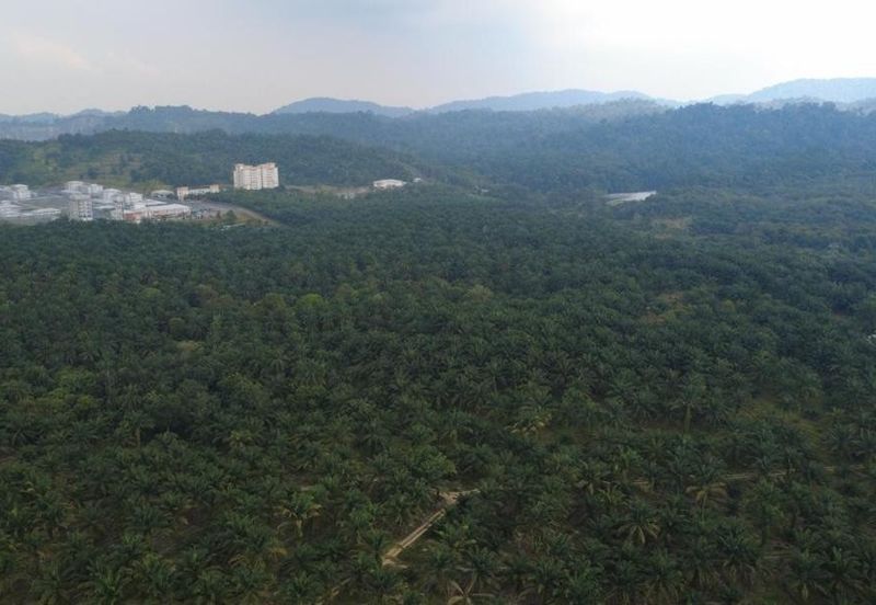 Taman Perindustrian Desa Cemerlang