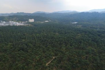 Kulai Residential Zoning Land for Sale