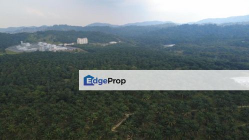 Kulai Residential Zoning Land for Sale, Johor, Kulai