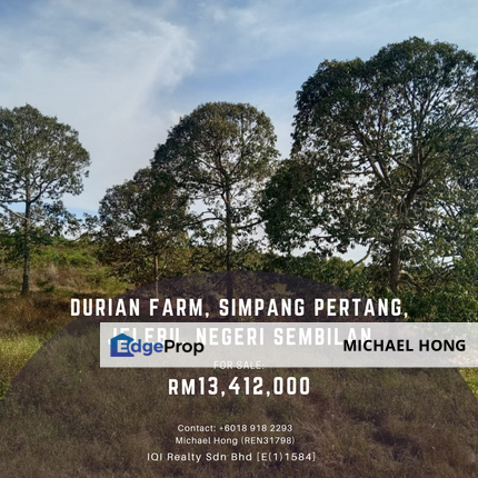 Simpang Pertang, Jelebu, Negeri Sembilan - 35 Acres “Durian Farm” For Sale, Negeri Sembilan, Jelebu