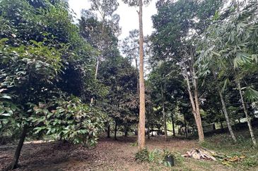 TEPI SUNGAI | Agriculture Land Bukit Lagong Selayang Gombak, Selangor