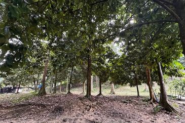 TEPI SUNGAI | Agriculture Land Bukit Lagong Selayang Gombak, Selangor