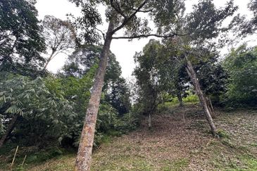 TEPI SUNGAI | Agriculture Land Bukit Lagong Selayang Gombak, Selangor