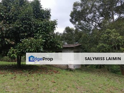 ATAS BUKIT | Lot tanah dusun Sg Pusu UIA Gombak, Selangor, Selangor, Gombak