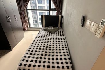 Dianthus @ Tropicana Gardens