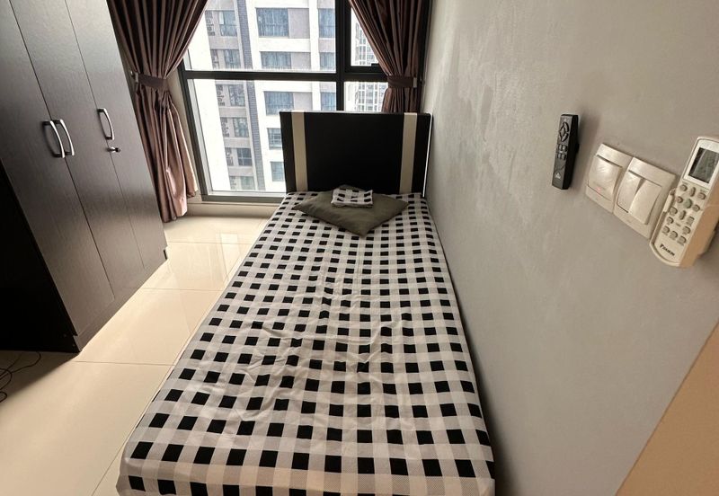 Dianthus @ Tropicana Gardens