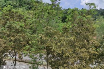 3Storey Semi D (Private Lift & Pool)