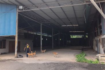 Single Storey Semi D Factory for Rent (1.7 Acres)