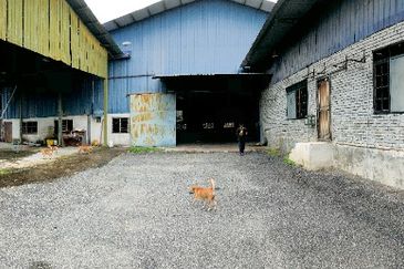 Single Storey Semi D Factory for Rent (1.7 Acres)