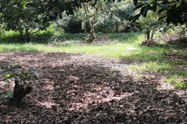 Agrilcuture Land for Sale  (2 Acres) below market