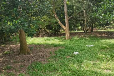 Agrilcuture Land for Sale  (2 Acres) below market