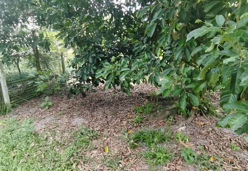 Agrilcuture Land for Sale  (2 Acres) below market