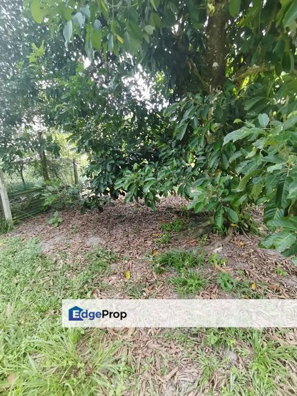 Agrilcuture Land for Sale  (2 Acres) below market, Selangor, Semenyih