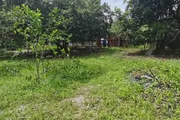 Agrilcuture Land for Sale  (2 Acres) below market