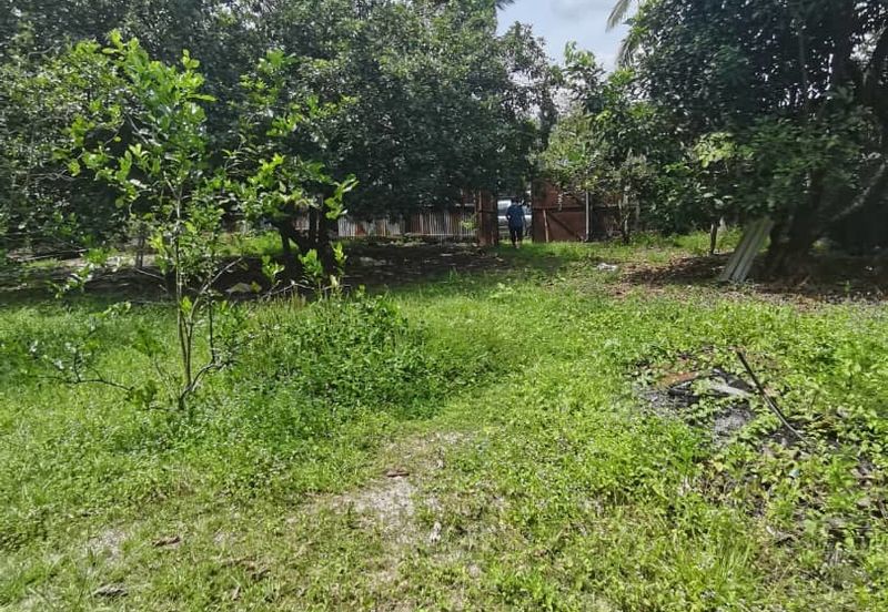 Agrilcuture Land for Sale  (2 Acres) below market