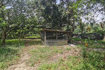 Agrilcuture Land for Sale  (2 Acres) below market