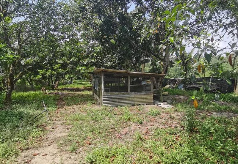 Agrilcuture Land for Sale  (2 Acres) below market